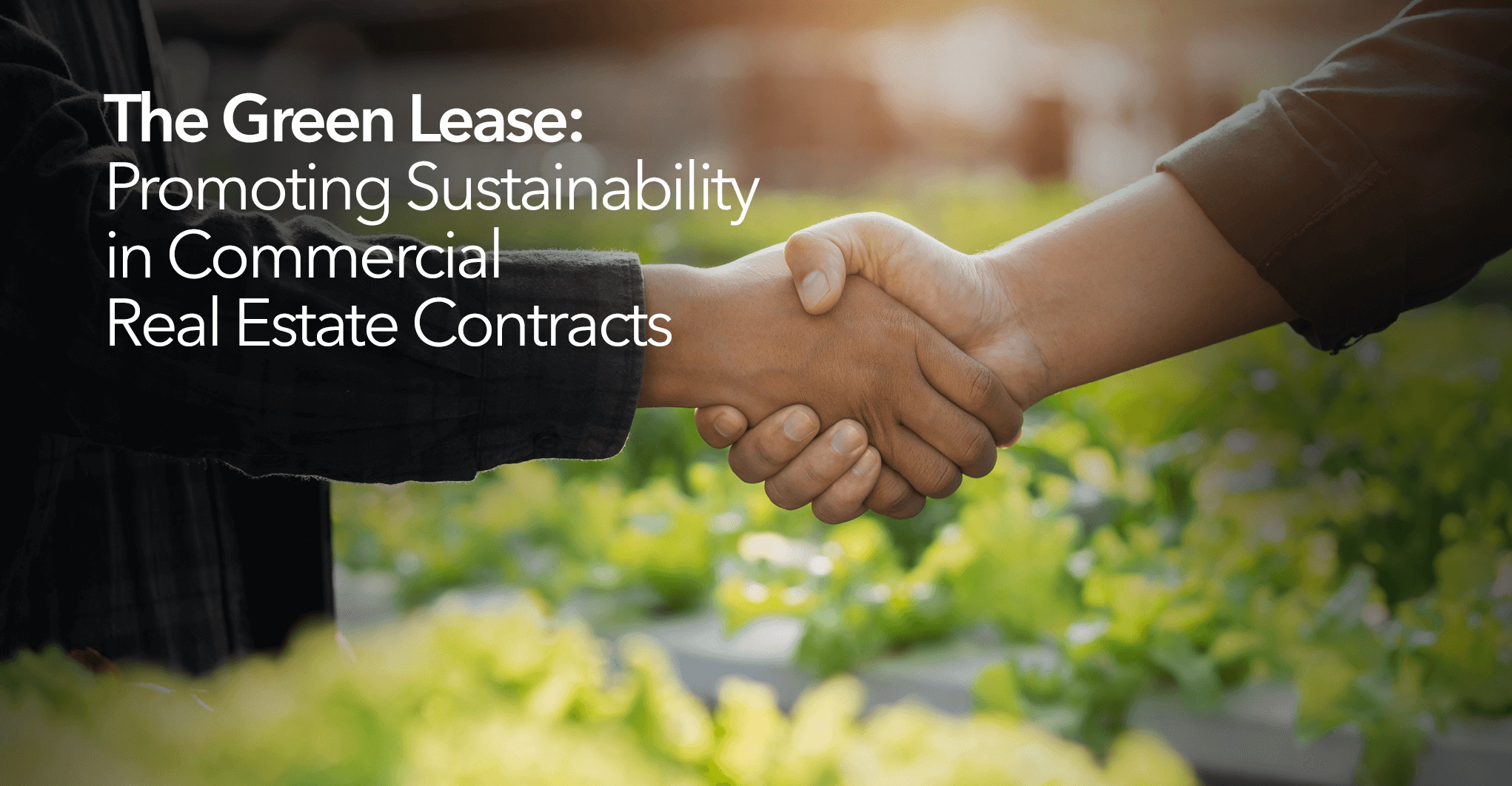 The Green Lease: Promoting Sustainability in Commercial Real Estate Contracts